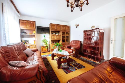 sala de estar con sofás de cuero y mesa en Grandma's apartment en Velika