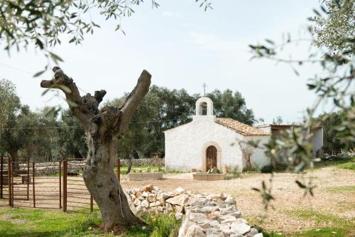 Una pequeña iglesia blanca con un árbol delante. en dimore di portadibasso en Peschici