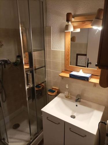 une salle de bain avec une douche, un lavabo et un miroir dans l'établissement 2 pièces proche cure thermale, à Roquebillière