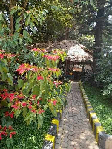 Gallery image of IBRAHIM Garden Hostel in Arusha