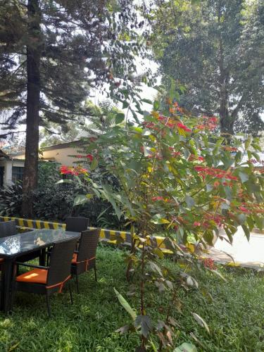 Gallery image of IBRAHIM Garden Hostel in Arusha
