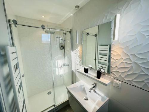 La salle de bains est pourvue d'un lavabo, d'une douche et d'un miroir. dans l'établissement Appart Rouen Jardin des plantes, à Rouen