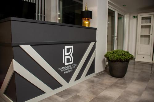 a black and white wall in a lobby with a plant at Bornemisza Kúria Wellness Resort in Tiszabecs