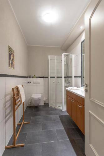 a bathroom with a toilet and a sink and a shower at Villa-Senta-Apartment-3 in Kühlungsborn