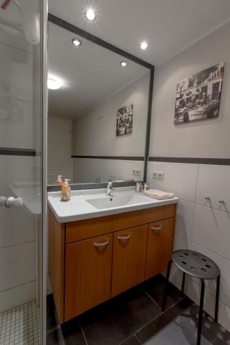 a bathroom with a sink and a large mirror at Villa-Senta-Apartment-10 in Kühlungsborn