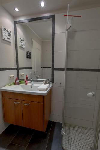 a bathroom with a sink and a shower with a mirror at Villa-Senta-Apartment-11 in Kühlungsborn