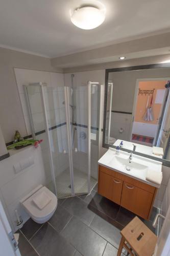a bathroom with a toilet and a sink and a shower at Villa-Senta-Apartment-13 in Kühlungsborn