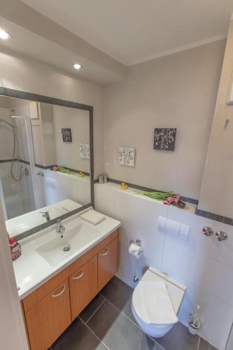 a bathroom with a sink and a toilet and a mirror at Villa-Senta-Apartment-14 in Kühlungsborn