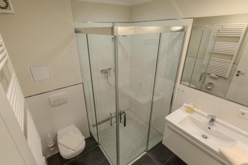 a bathroom with a shower and a toilet and a sink at Villa-Borwin-Apartment-9 in Kühlungsborn
