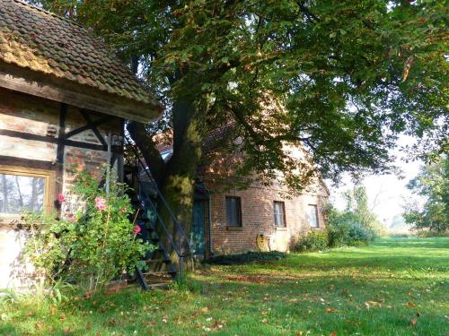 een oud stenen huis met een boom ernaast bij Ferienhaus Christoph Seeger in Bugewitz