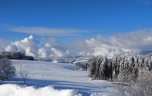 Menzenschwand-HinterdorfにあるC1 Albmatte-FEWO Sauna, Hallenbad Außenbecken Massagen nebenanの雪上の木々や雲が茂る畑