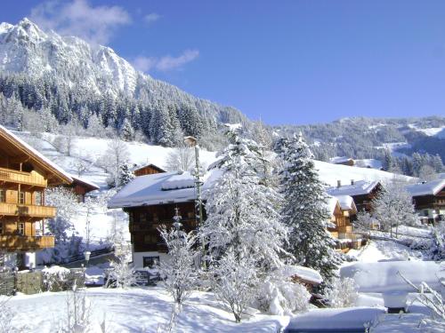 a ski lodge with snow covered trees and mountains at Appartement Alpina in Alpbach