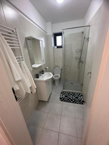 La salle de bains est pourvue d'une douche, de toilettes et d'un lavabo. dans l'établissement Apartament Elena, à Bragadiru