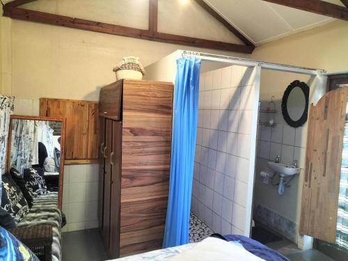a bathroom with a shower and a wooden door at Garden Cottage Guest House in De Aar