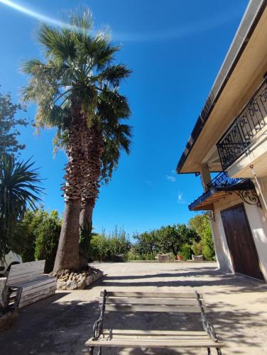 a palm tree next to a building with a bench at Villa Calcerame in Montelepre