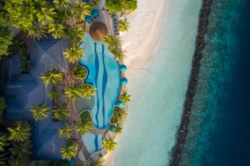 Landskap semula jadi dekat dengan resort