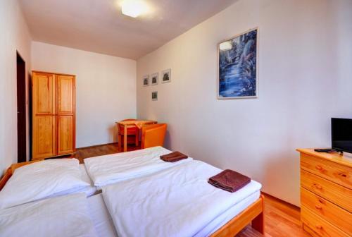 1 dormitorio con 1 cama, vestidor y TV en Hotel Hvězda en Bruntál