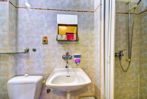 La salle de bains est pourvue d'un lavabo, de toilettes et d'une douche. dans l'établissement Hotel Hvězda, à Bruntál