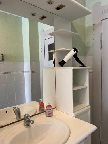 un baño con lavabo y espejo en Family Apartments Thale, en Thale