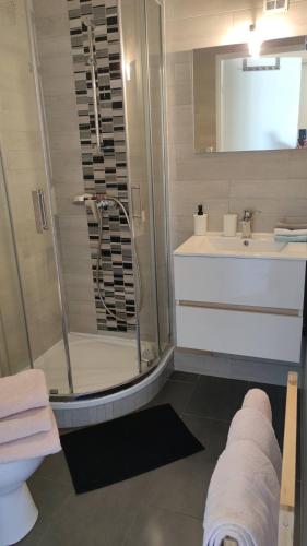 une salle de bain avec une douche, un lavabo et des toilettes dans l'établissement 105 - T2 Lake - 5 pers - Proche mer, à Mauguio