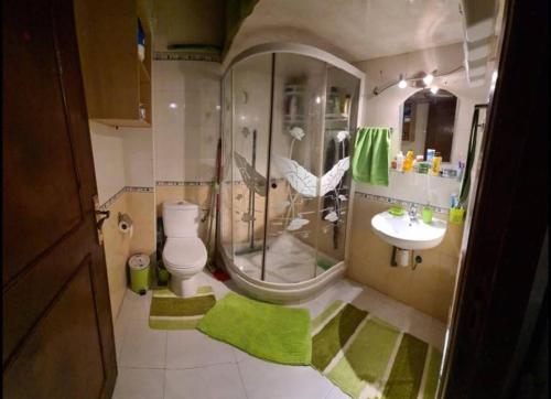 Mansouria的住宿－Maison Maurice，带淋浴、卫生间和盥洗盆的浴室