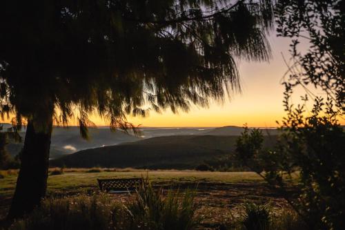 a bench sitting in a field at sunset at Dargle Forest Lodge in Dargle