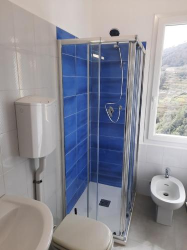 ヴェルナッツァにあるCà gialla de Drignanaのバスルーム(トイレ、ガラス張りのシャワー付)