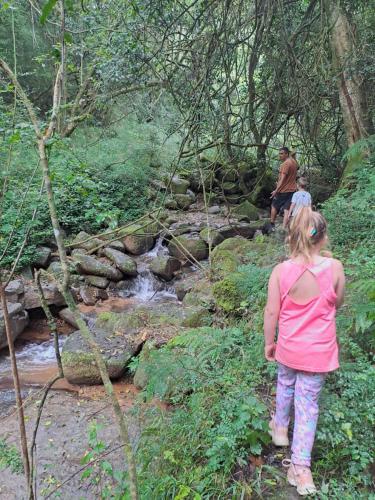 a woman standing on a trail near a creek at Dargle Forest Lodge in Dargle