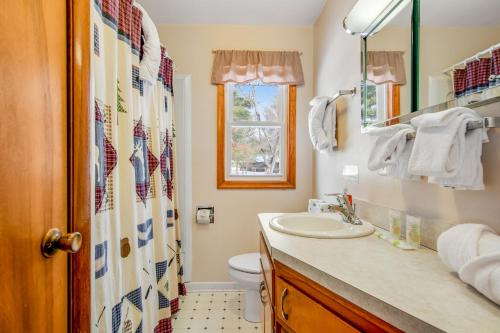 een badkamer met een wastafel en een toilet bij Serenity on Castle Rock in Friendship