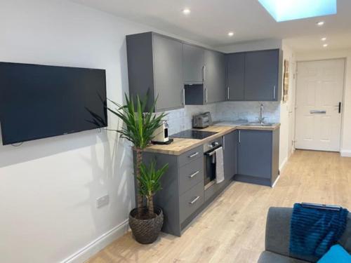 a kitchen with blue cabinets and a potted plant at Stylish 1 bedroom studio outdoor area and hot tub in Bournemouth