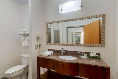 a bathroom with a sink and a toilet and a mirror at Comfort Suites Stockbridge Atlanta South in Stockbridge