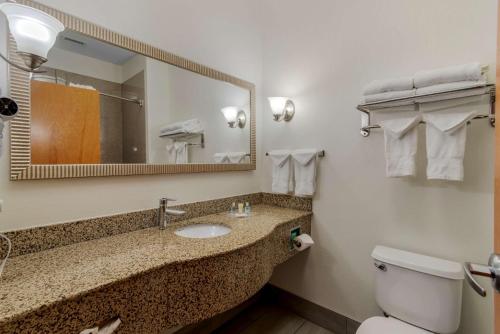 a bathroom with a sink and a toilet and a mirror at Comfort Suites Stockbridge Atlanta South in Stockbridge