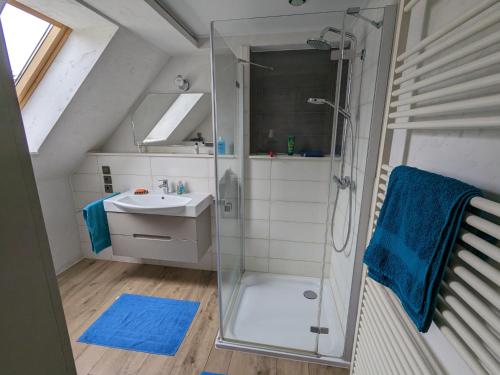 a bathroom with a shower and a sink at Altmark - Haus am Hang mit Garten in Dähre