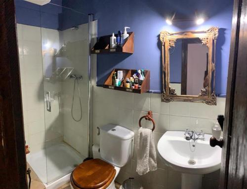 La salle de bains est pourvue de toilettes, d'une douche et d'un lavabo. dans l'établissement La Forna, à Caso