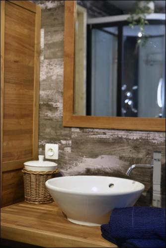 a bathroom with a white sink and a mirror at Péniche Rayclau in Ronquières