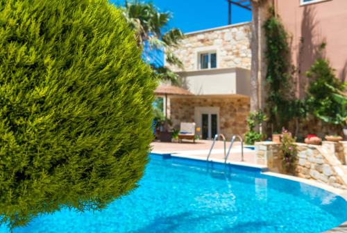 a swimming pool in front of a house with a large bush at Mistral Hotel - For Solo Travelers in Maleme