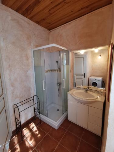 une salle de bain avec douche et lavabo dans l'établissement Appartement Palazzo Patrimonio, à Patrimonio