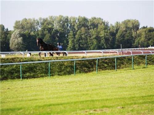 a horse jumping over a fence on a race track at La Villa Du Lac- 3 rooms for 6 people in Divonne-les-Bains