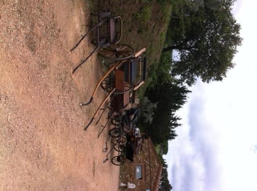 Gallery image of Agriturismo La Fontanella & Glamping in Suvereto
