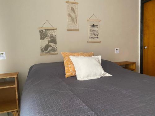 a bedroom with a bed with blue sheets and orange pillows at Casa Olive, en complejo residencial con cochera in Godoy Cruz
