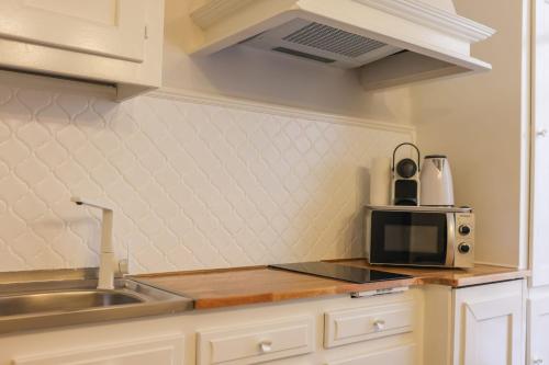 kuchnia ze zlewem i kuchenką mikrofalową w obiekcie IMMOGROOM - 5min from the beach - Suquet - Terrace w Cannes