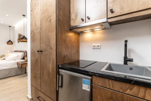 Kuchyň nebo kuchyňský kout v ubytování Galazia Boutique Apartments
