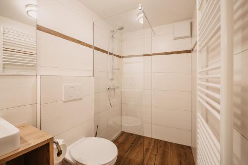 a bathroom with a toilet and a shower at Appartement Steinerhof in Werfenweng