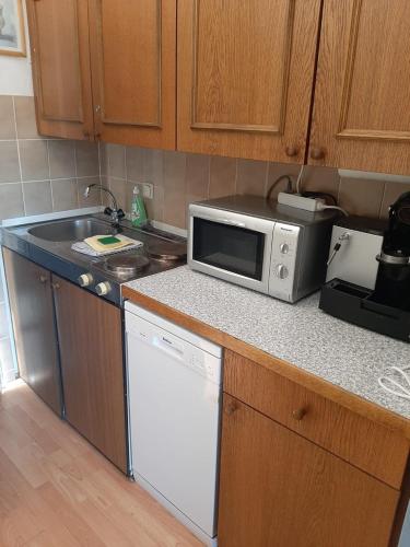 Dapur atau dapur kecil di Gipfelsieg am Hallstättersee