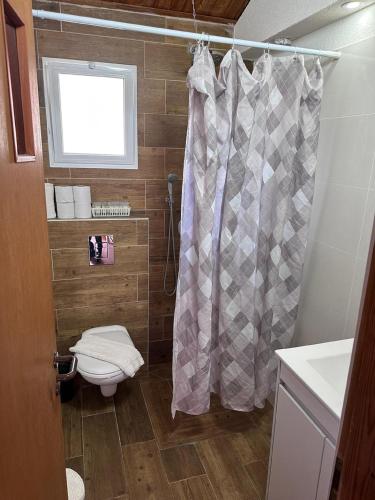 a bathroom with a toilet and a shower curtain at Arbel Holiday Homes in Arbel