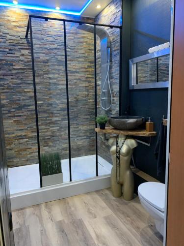 een badkamer met een glazen douche en een wastafel bij La Clé des Plaisirs in Chambéry