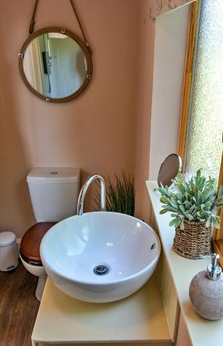 a bathroom with a sink and a mirror at Finest Retreats - Shrawardine Train Carriage in Shrawardine