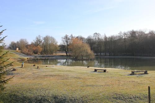 a park with a pond and benches in the grass at Domaine du Moulin de l'Etang in Châtillon-sur-Marne