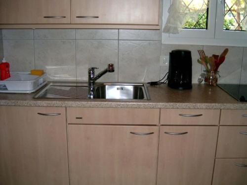 una cucina con lavandino e piano di lavoro di Casa Franci ad Ascona