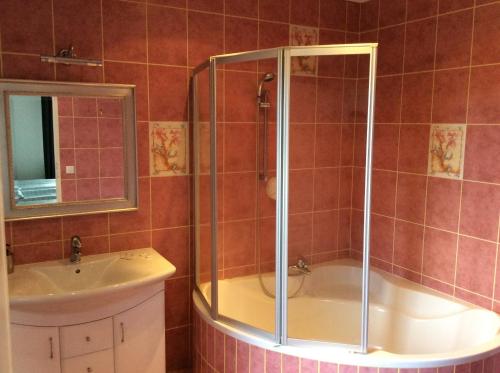 a bathroom with a shower and a sink at Kuklówka Conference in Radziejowice